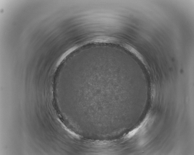 X0000066510829200603241304