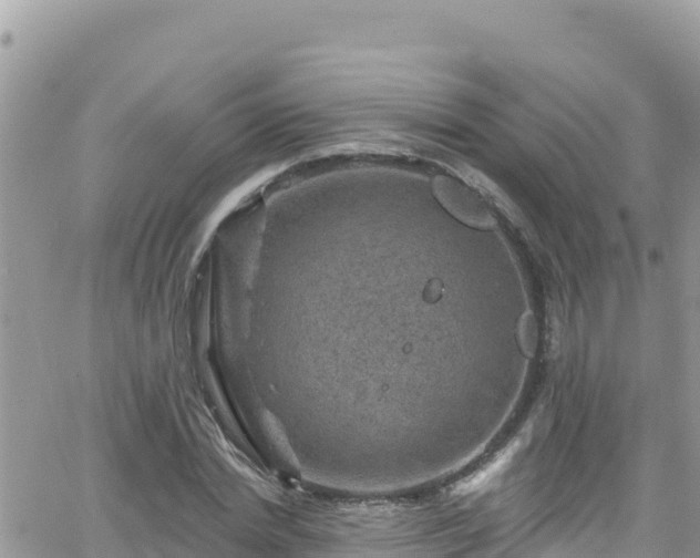 X0000066510830200603241304