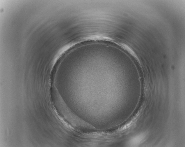 X0000066510831200603241304