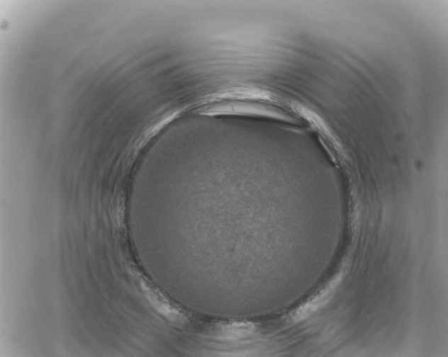 X0000066510833200603241304