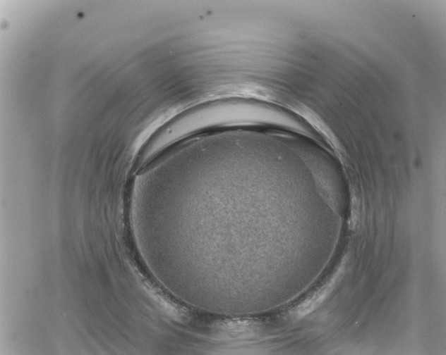 X0000066510834200603241304