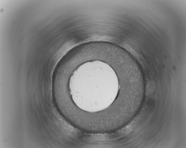 X0000066510836200603241304