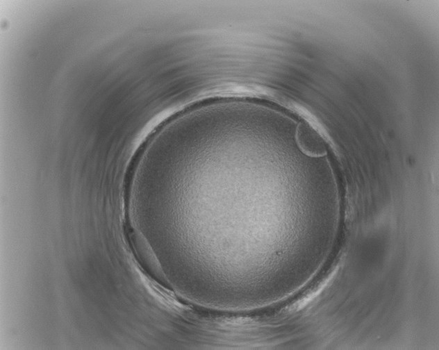 X0000066510837200603241304