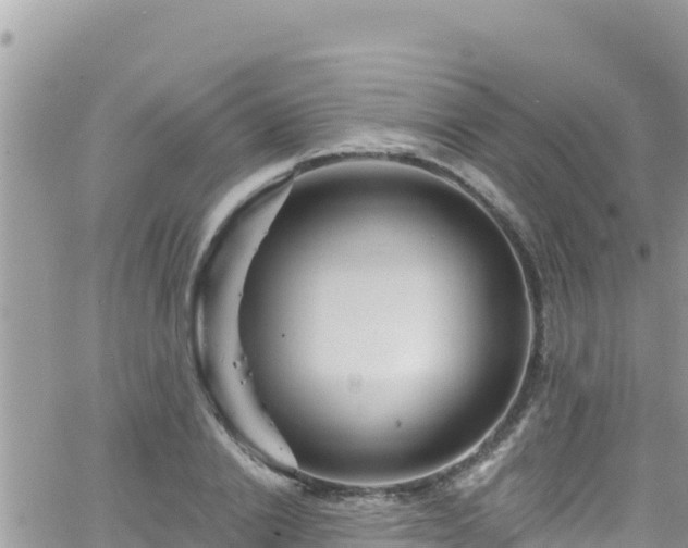 X0000066510838200603241304