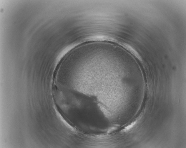 X0000066510839200603241304