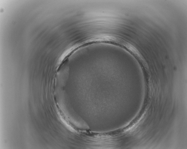 X0000066510842200603241304