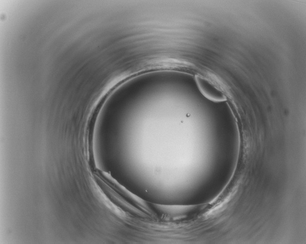 X0000066510843200603241304