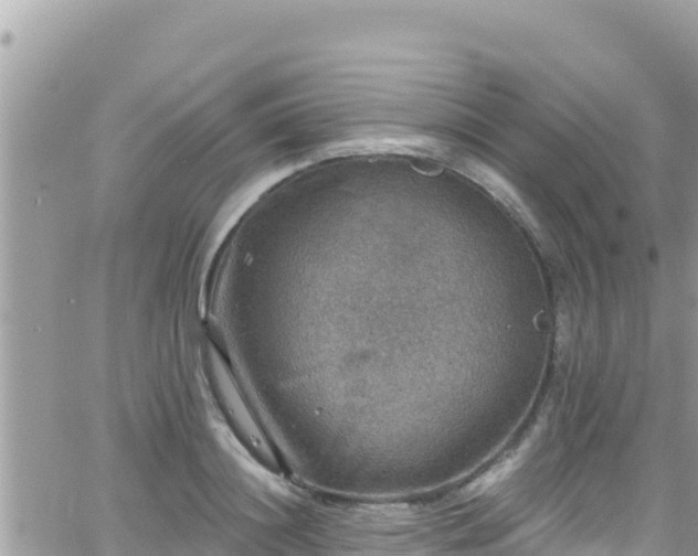 X0000066510844200603241304