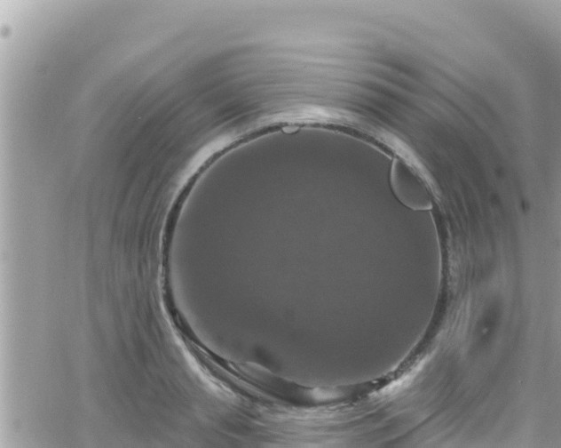 X0000066510845200603241305