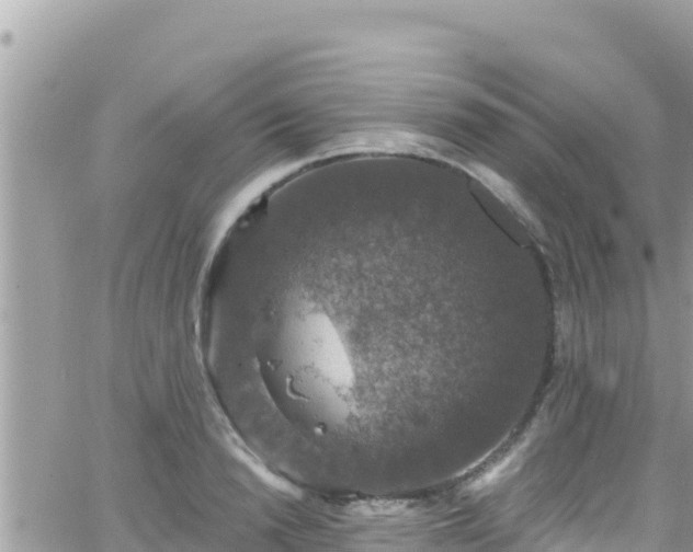 X0000066510846200603241305