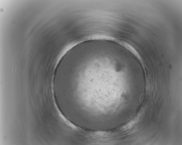 X0000066510847200603241305