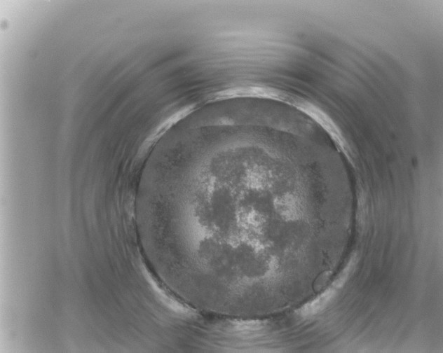 X0000066510849200603241305