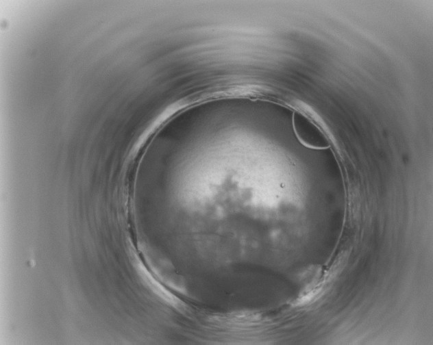 X0000066510851200603241305