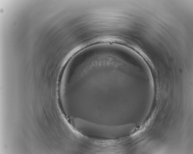 X0000066510853200603241305