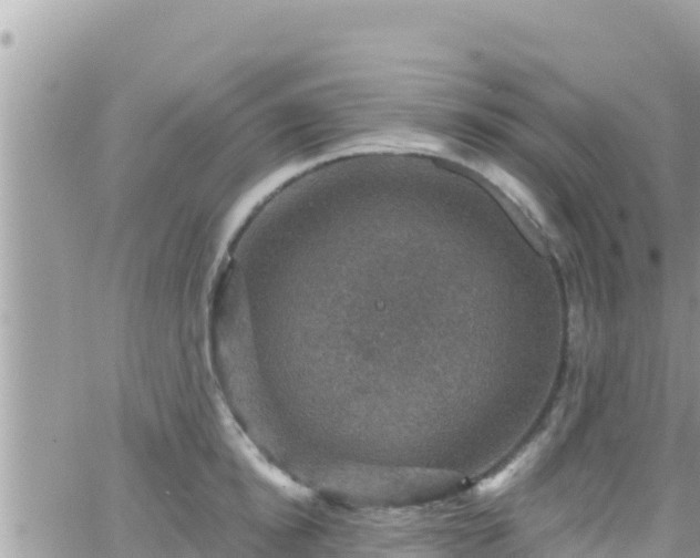 X0000066510854200603241305