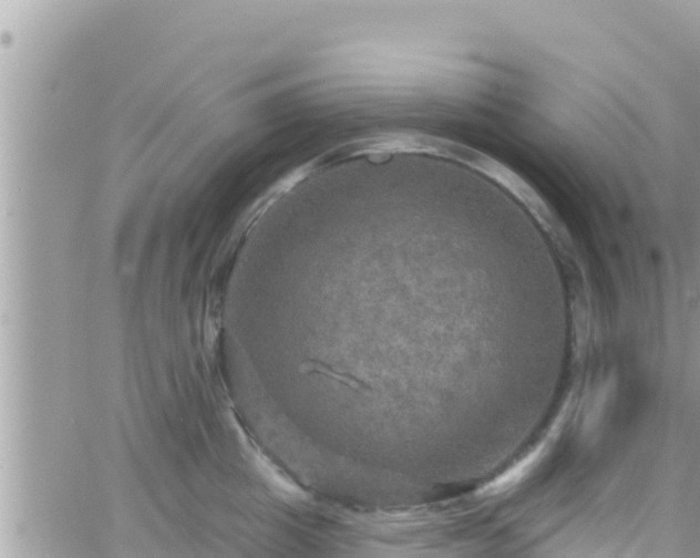 X0000066510857200603241305