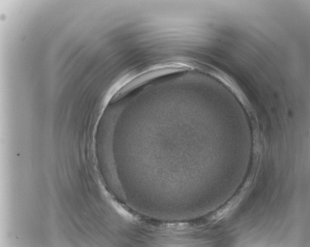 X0000066510858200603241305