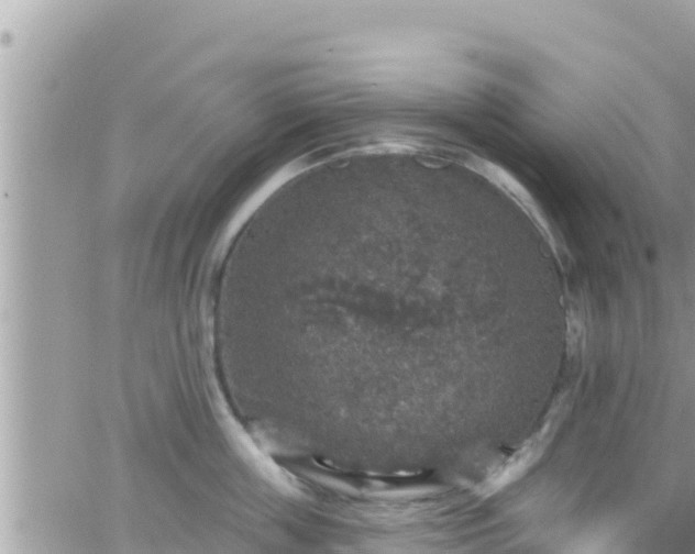 X0000066510859200603241305