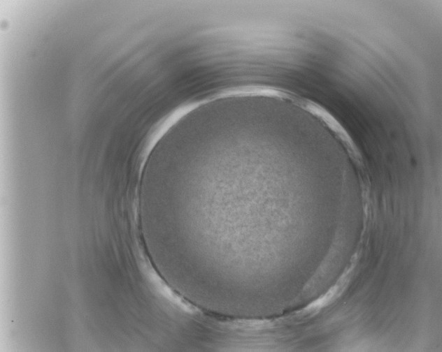 X0000066510860200603241305