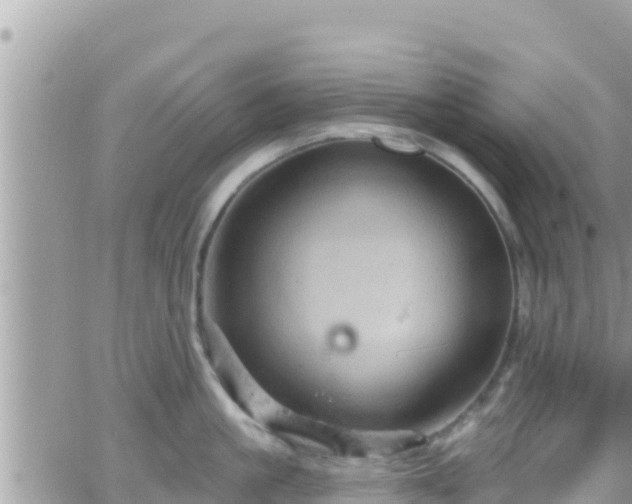 X0000066510861200603241305