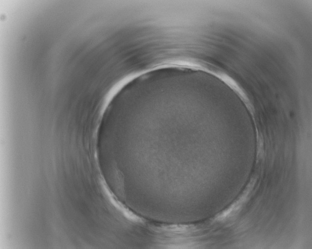 X0000066510862200603241305