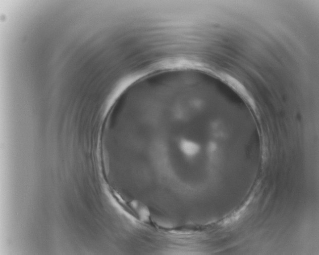 X0000066510863200603241305