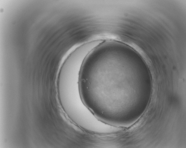 X0000066510864200603241305