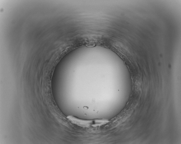 X0000066510865200603241304