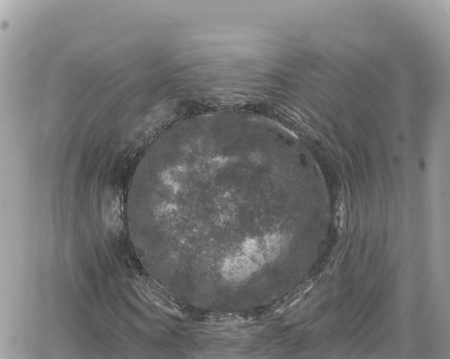 X0000066510866200603241304