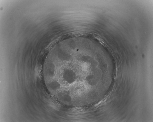 X0000066510867200603241304