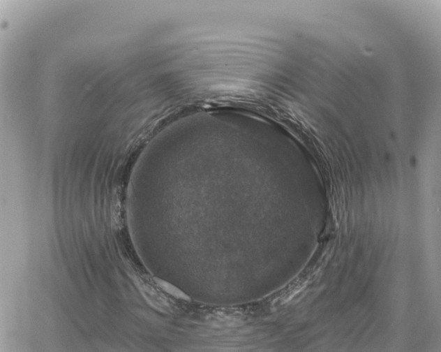 X0000066510868200603241304