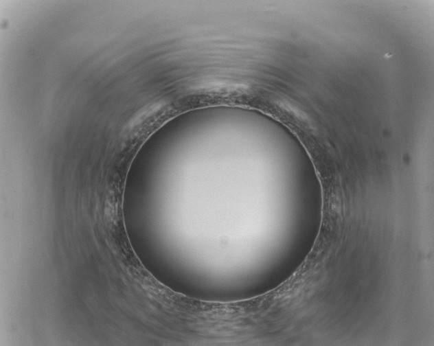 X0000066510869200603241304