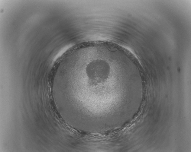 X0000066510871200603241304