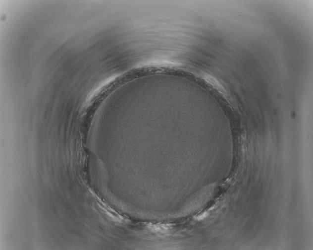 X0000066510872200603241304