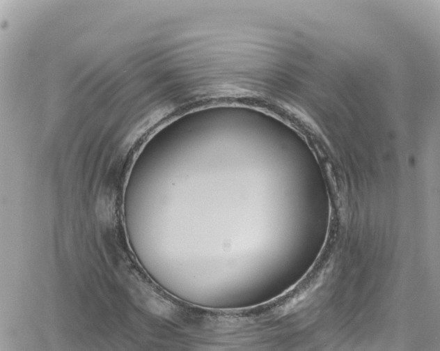 X0000066510873200603241304