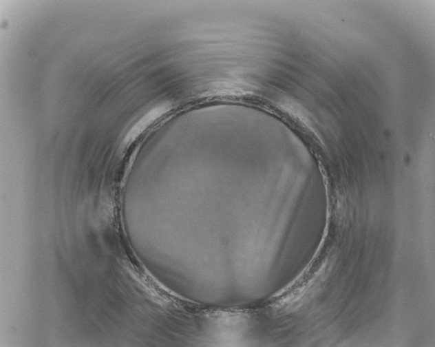 X0000066510874200603241304