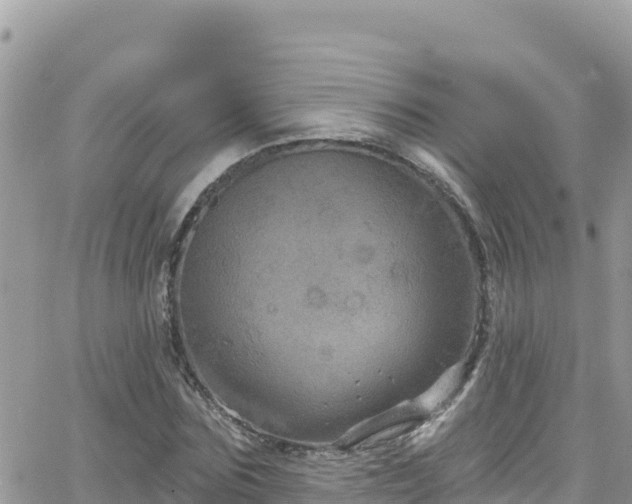 X0000066510875200603241304