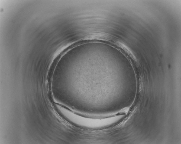 X0000066510876200603241304