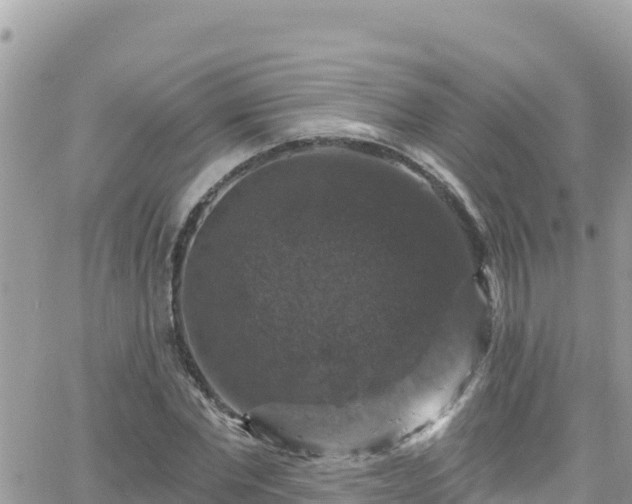 X0000066510877200603241304