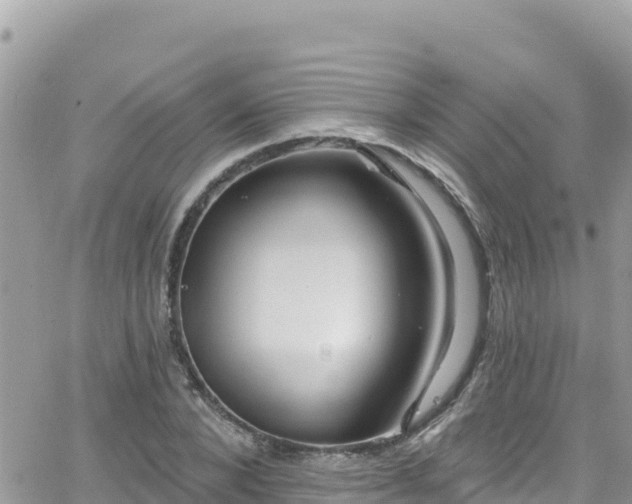 X0000066510880200603241304