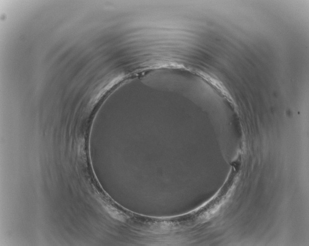 X0000066510881200603241304