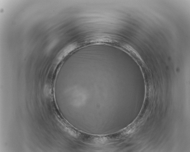 X0000066510882200603241304