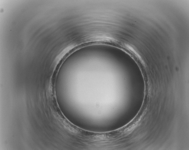 X0000066510883200603241304