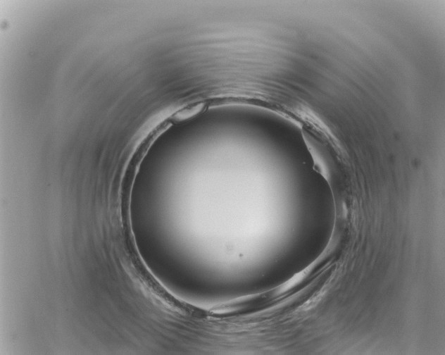 X0000066510884200603241304