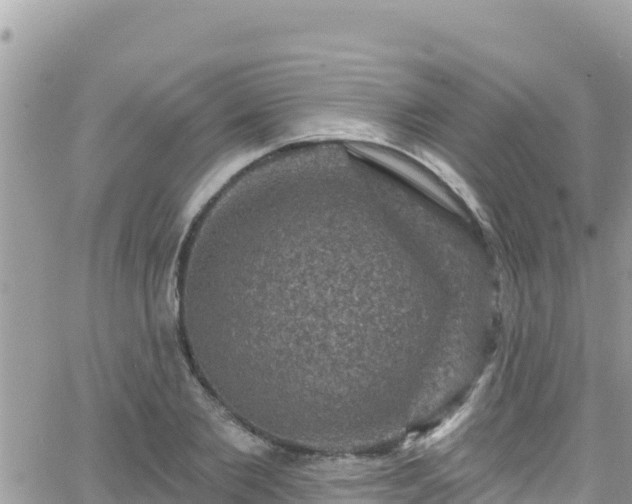 X0000066510885200603241304