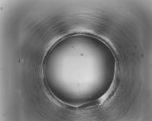 X0000066510887200603241304