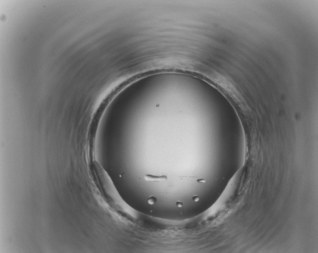 X0000066510888200603241304