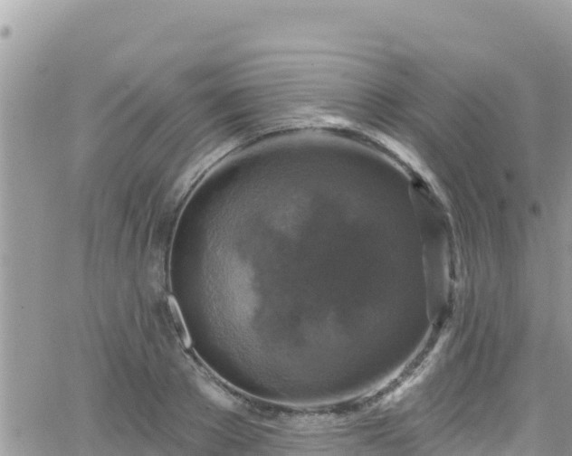 X0000066510889200603241304