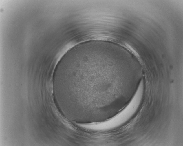 X0000066510891200603241304