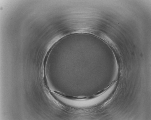 X0000066510892200603241304